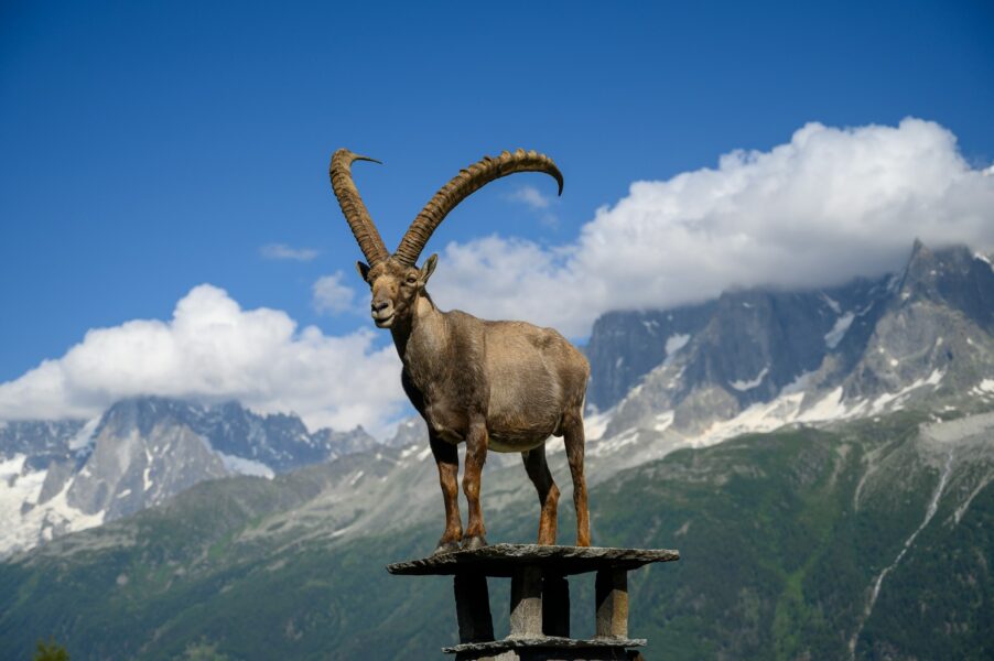 Geneva to Les Houches Transfer