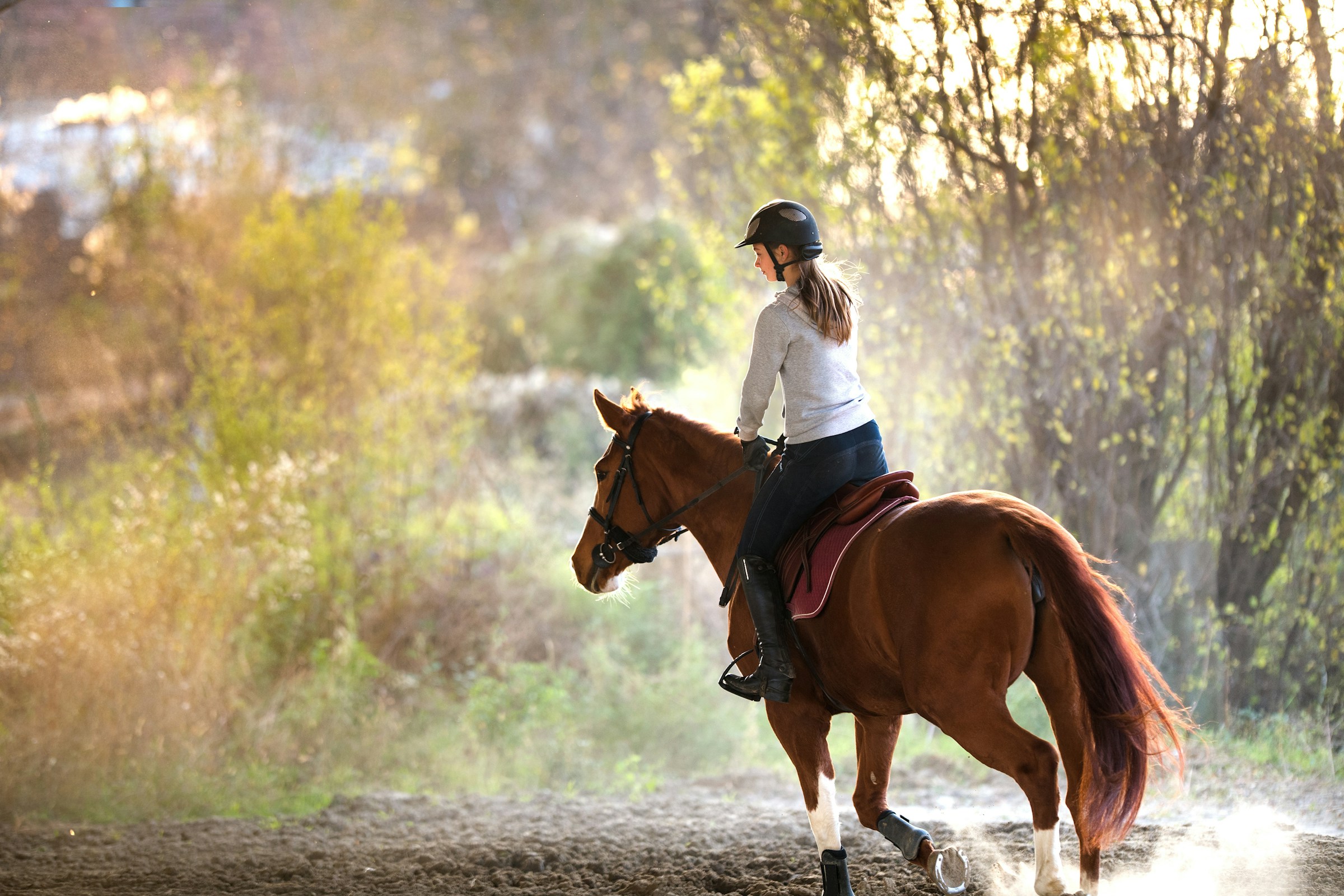 Horse Riding at Les Fiz Stables